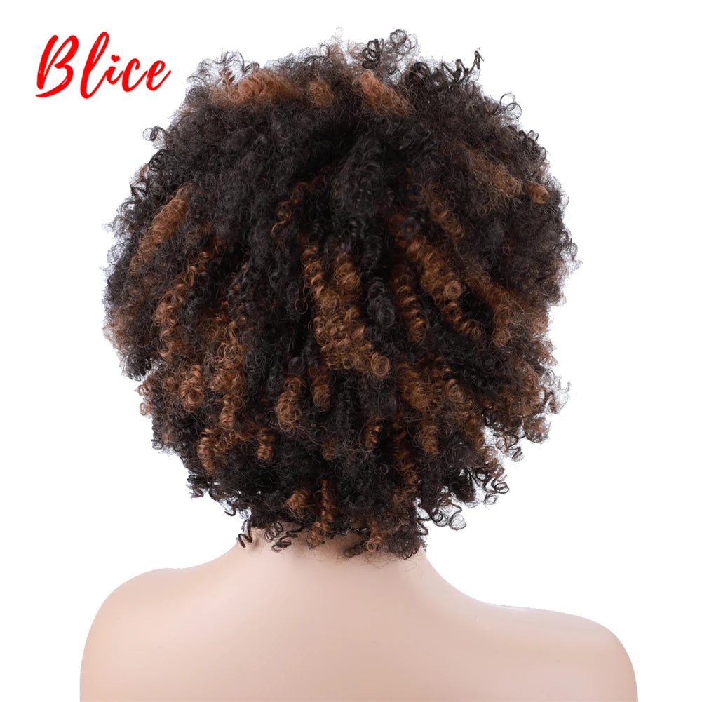 Blice Synthetic bancy curly fringe pixie cut short Wigs Afro Kinky Natural Looking Heat Resistant  Ameracan African Daily Brown