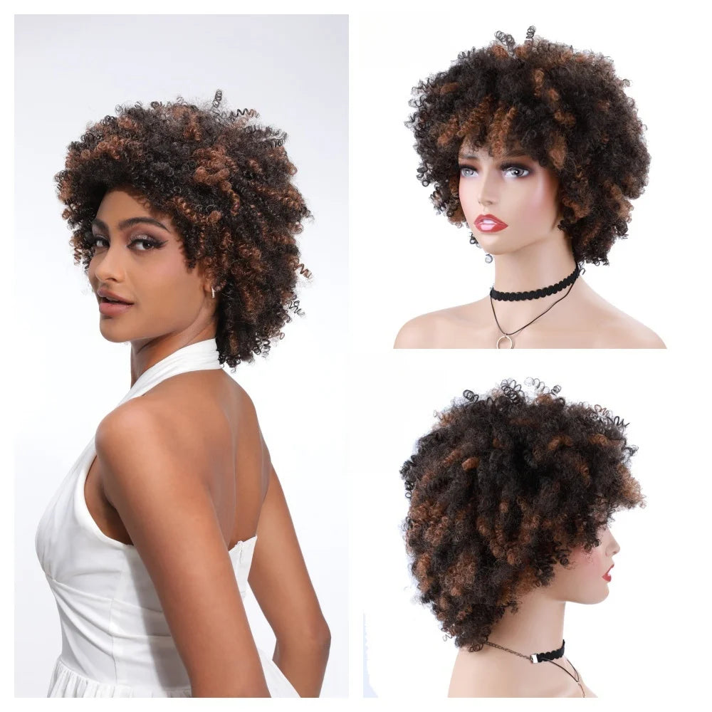 Blice Synthetic bancy curly fringe pixie cut short Wigs Afro Kinky Natural Looking Heat Resistant  Ameracan African Daily Brown