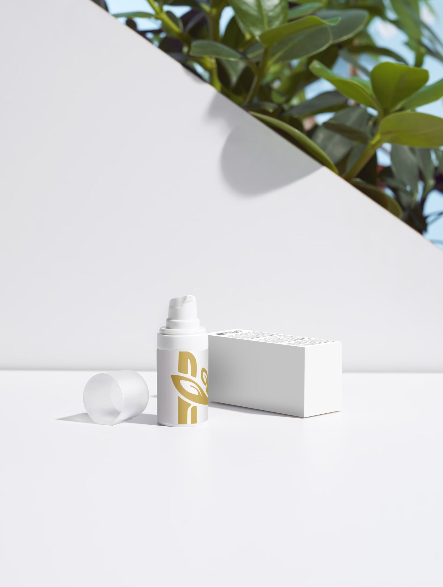 Rejuvenating Glow Collection Box