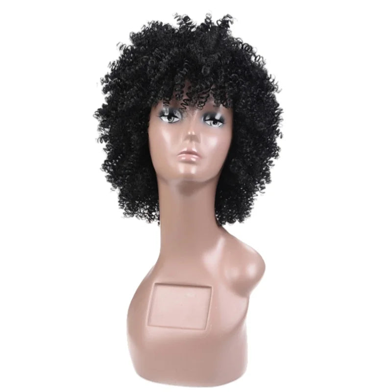 Blice Synthetic bancy curly fringe pixie cut short Wigs Afro Kinky Natural Looking Heat Resistant  Ameracan African Daily Brown